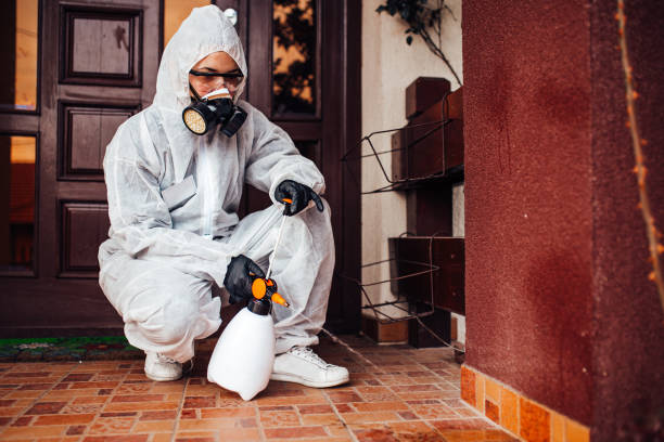 Reliable Cockroach Control contractor in Sugar City, ID by Nex Pest Control