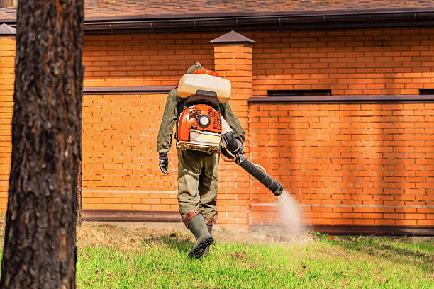 Trusted Termite Control service in Sugar City, ID - Nex Pest Control